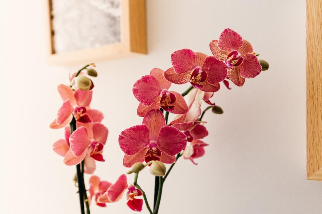 Bed and Breakfast Adriano Augusto Rom Zimmer foto