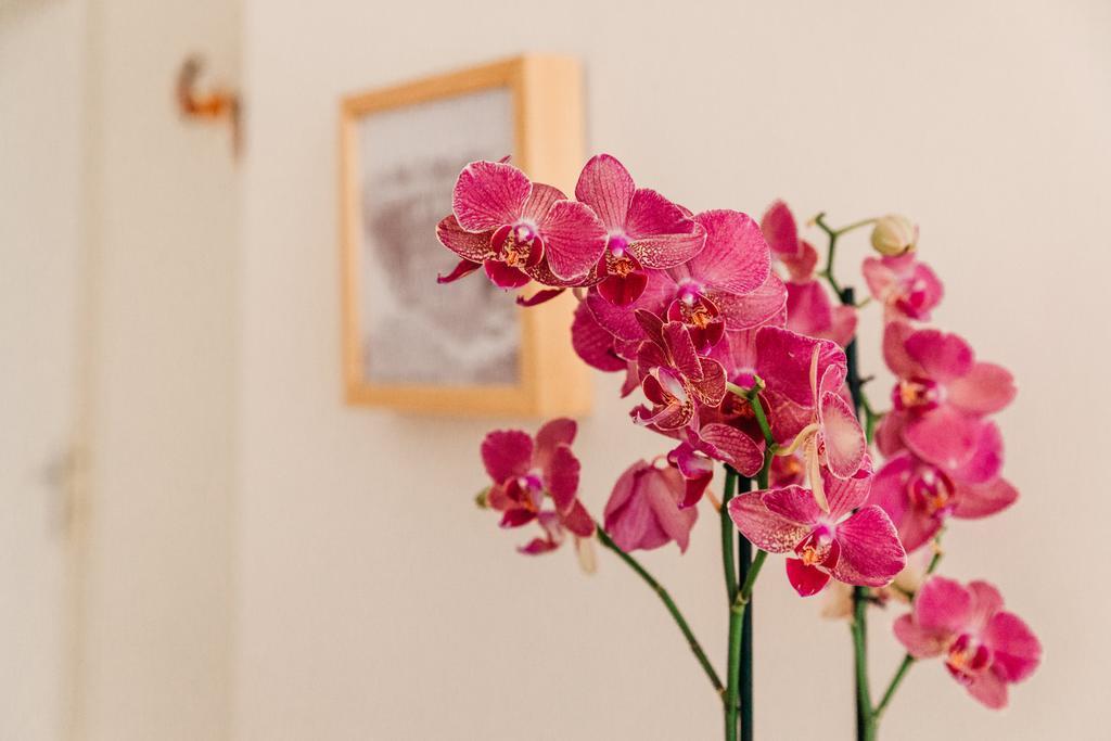 Bed and Breakfast Adriano Augusto Rom Zimmer foto